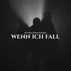 About Wenn ich fall' Song