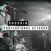 About Professional Attacks Song