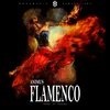 About Flamenco Song