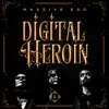 About Digital Heroin (Solar Fake Remix) Song