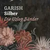 About Silber (Die Uzlop Bänder) Song