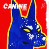 About Canine Song