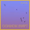 About Common Swift Song
