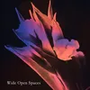 About wide open spaces Song