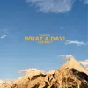 About What a Day! Song