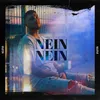 About Nein Nein Song