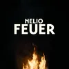 About Feuer Song