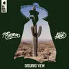 About Saguaro View Song