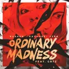About Ordinary Madness Song