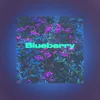 About Blueberry Song