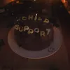 child support