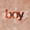 About Boy Song