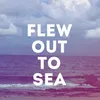 Flew Out To Sea