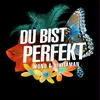 About Du bist perfekt Song