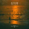 About OZEAN eSBee & Janko RMX Song