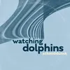 About Watching Dolphins Song