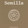 About Semilla Song