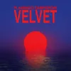 About velvet Song