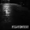 Pilotentest