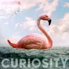 About Curiosity Song