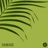 About Hawaiio Song