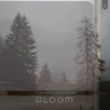 About Gloom Song