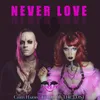 About Never Love Song