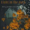 About Light in the Dark Song