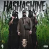 Hashashine