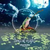 About Frogs at Night Song