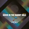 Down in the Rabbit Hole Instrumental