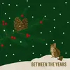 About Between The Years Song