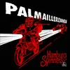About Palmaillerennen Radio Edit Song