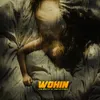 About Wohin Song