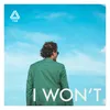 About I Won't Song
