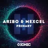 About Primary Song