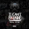 About I Can't Breathe Song