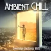 We Watch the Stars Ambient Downbeat Lounge Mix