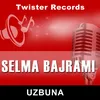 About Uzbuna Song