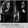 About Little Fears Song