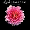 About Liberation Song