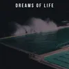 Dreams of Life