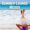 Shade in the Sun Ibiza Chillout Mix