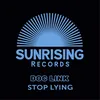 About Stop Lying Original Mix Song