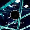 About Cross Song