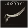 About Sorry Song