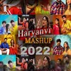 About Hariyanvi mashup 2022 (Dance Party) Song