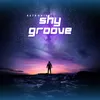 Shy Groove