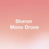 About Mono Drone Song