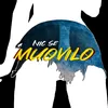 About Muovilo Song